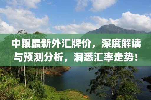 中银最新外汇牌价，深度解读与预测分析，洞悉汇率走势！