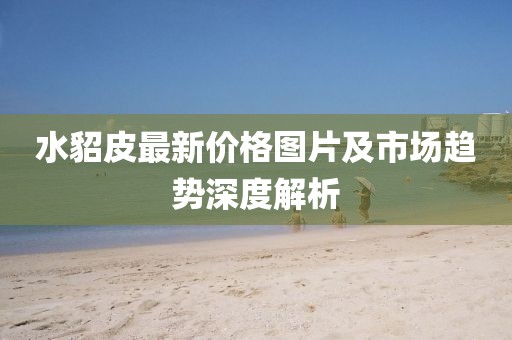 水貂皮最新价格图片及市场趋势深度解析
