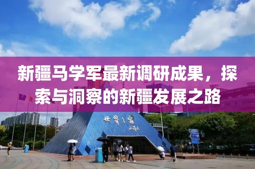 新疆马学军最新调研成果，探索与洞察的新疆发展之路