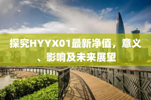 探究HYYX01最新净值，意义、影响及未来展望