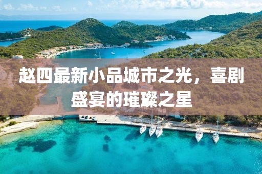 赵四最新小品城市之光，喜剧盛宴的璀璨之星