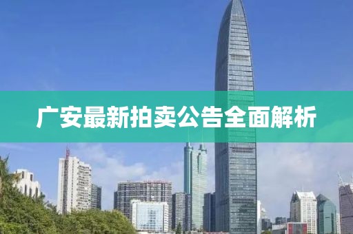 广安最新拍卖公告全面解析