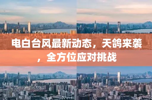电白台风最新动态，天鸽来袭，全方位应对挑战
