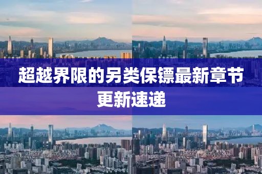 超越界限的另类保镖最新章节更新速递