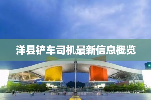 洋县铲车司机最新信息概览