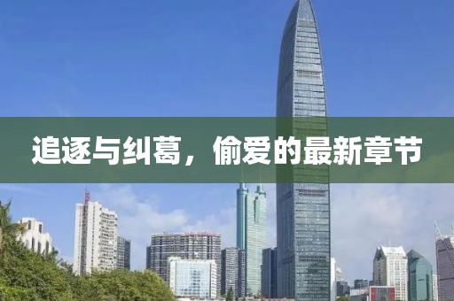 追逐与纠葛，偷爱的最新章节