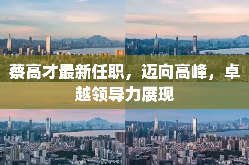 蔡高才最新任职，迈向高峰，卓越领导力展现
