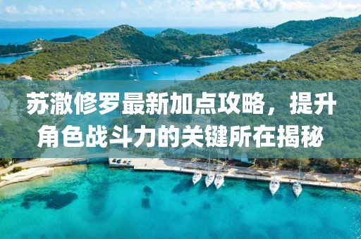 苏澈修罗最新加点攻略，提升角色战斗力的关键所在揭秘