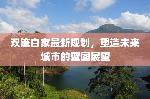 双流白家最新规划，塑造未来城市的蓝图展望