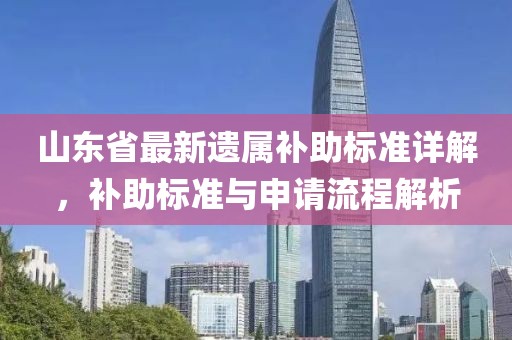 山东省最新遗属补助标准详解，补助标准与申请流程解析