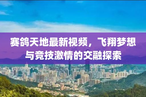 赛鸽天地最新视频，飞翔梦想与竞技激情的交融探索