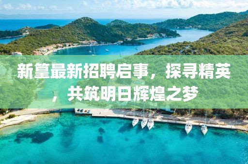 新篁最新招聘启事，探寻精英，共筑明日辉煌之梦