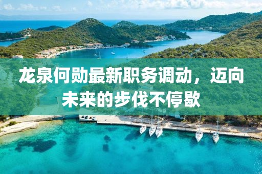 龙泉何勋最新职务调动，迈向未来的步伐不停歇
