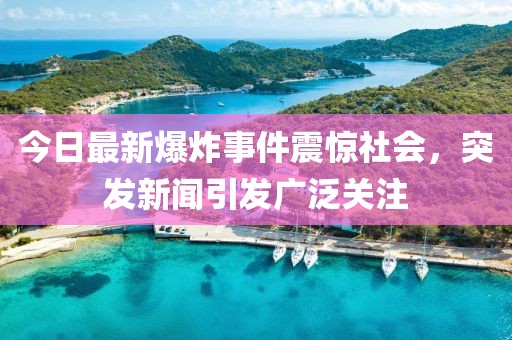 今日最新爆炸事件震惊社会，突发新闻引发广泛关注