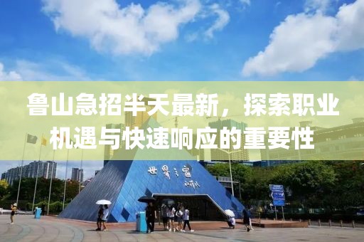 鲁山急招半天最新，探索职业机遇与快速响应的重要性