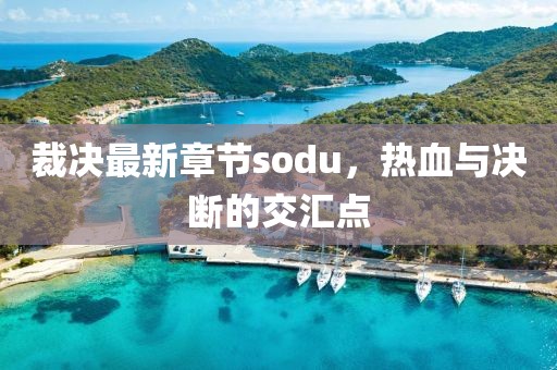 裁决最新章节sodu，热血与决断的交汇点