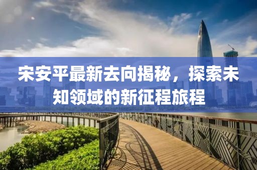 宋安平最新去向揭秘，探索未知领域的新征程旅程