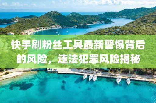 快手刷粉丝工具最新警惕背后的风险，违法犯罪风险揭秘