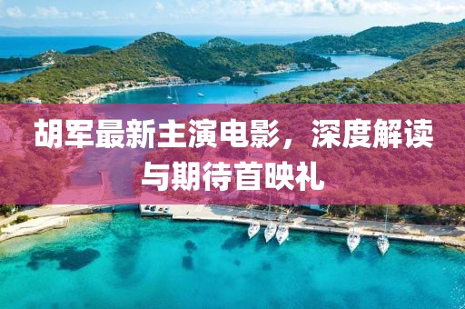 胡军最新主演电影，深度解读与期待首映礼