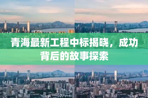 青海最新工程中标揭晓，成功背后的故事探索
