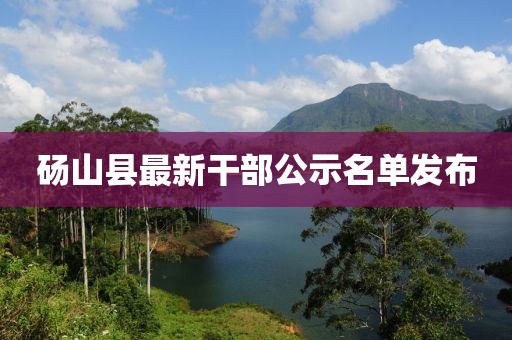 砀山县最新干部公示名单发布