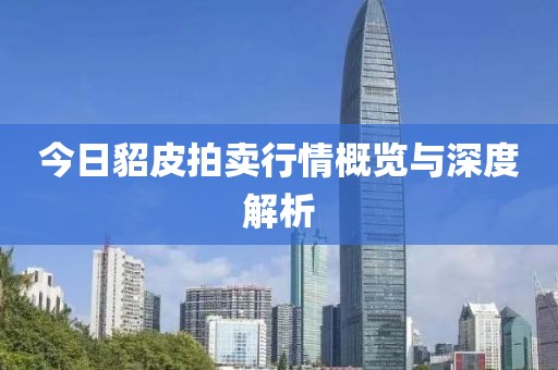 今日貂皮拍卖行情概览与深度解析