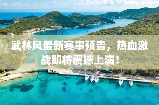 武林风最新赛事预告，热血激战即将震撼上演！
