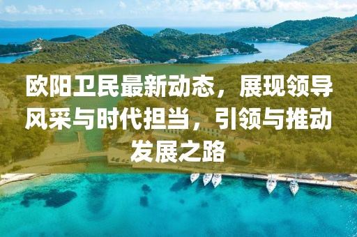 欧阳卫民最新动态，展现领导风采与时代担当，引领与推动发展之路