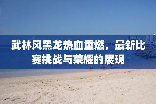 武林风黑龙热血重燃，最新比赛挑战与荣耀的展现