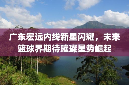 广东宏远内线新星闪耀，未来篮球界期待璀璨星势崛起