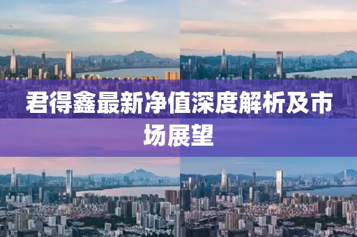 君得鑫最新净值深度解析及市场展望