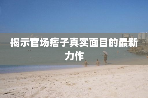 揭示官场痞子真实面目的最新力作