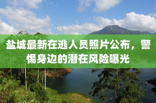 盐城最新在逃人员照片公布，警惕身边的潜在风险曝光