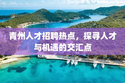 青州人才招聘热点，探寻人才与机遇的交汇点