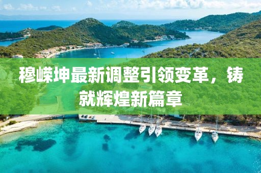 穆嵘坤最新调整引领变革，铸就辉煌新篇章