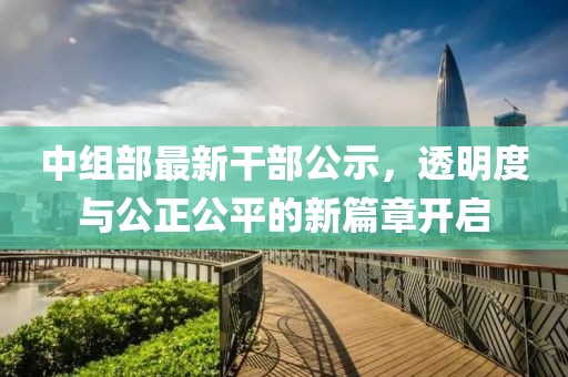 中组部最新干部公示，透明度与公正公平的新篇章开启