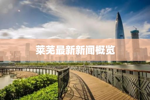 莱芜最新新闻概览