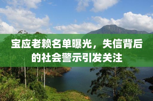 宝应老赖名单曝光，失信背后的社会警示引发关注