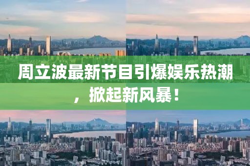 南泠柚子 第33页