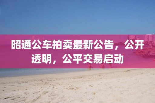 昭通公车拍卖最新公告，公开透明，公平交易启动