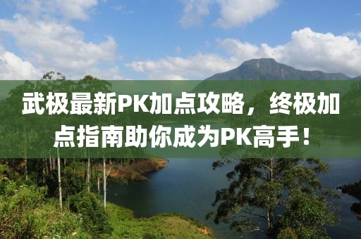 武极最新PK加点攻略，终极加点指南助你成为PK高手！