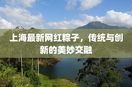 上海最新网红粽子，传统与创新的美妙交融