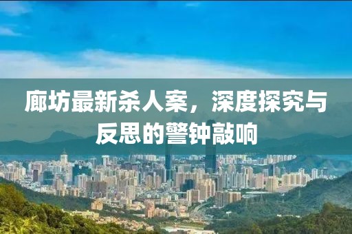 廊坊最新杀人案，深度探究与反思的警钟敲响