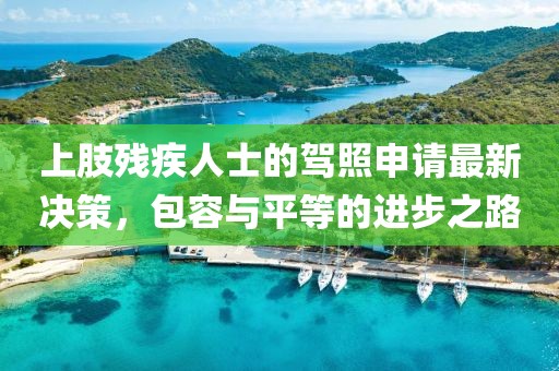 上肢残疾人士的驾照申请最新决策，包容与平等的进步之路