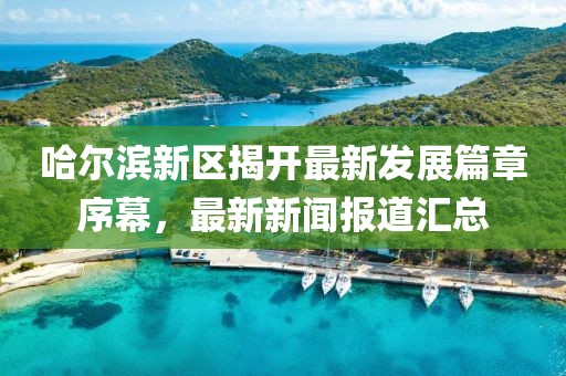 哈尔滨新区揭开最新发展篇章序幕，最新新闻报道汇总