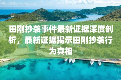 田刚抄袭事件最新证据深度剖析，最新证据揭示田刚抄袭行为真相