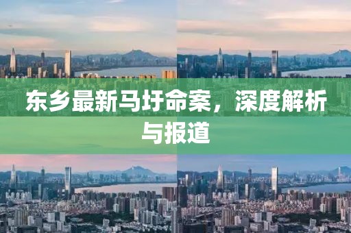 东乡最新马圩命案，深度解析与报道