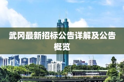 武冈最新招标公告详解及公告概览