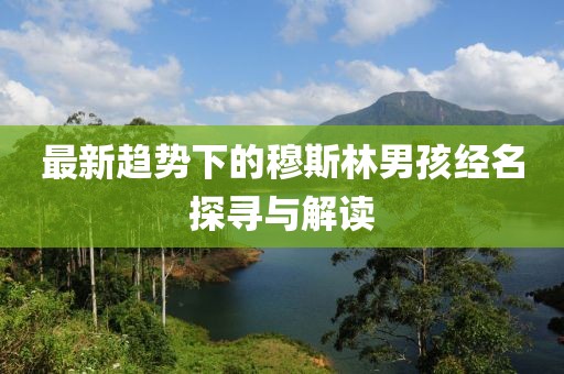 最新趋势下的穆斯林男孩经名探寻与解读