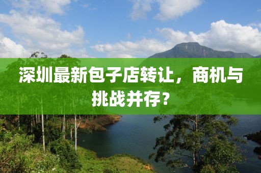深圳最新包子店转让，商机与挑战并存？